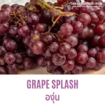 100% authentic perfume Fragrance oil, high concentration, grape scent 30 ml, 60 ml, 100 ml