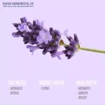 หัวน้ำหอมแท้ 100% FRAGRANCE OIL ความเข้มข้นสูง กลิ่น ลาเวนเดอร์ ขนาด 30 ML , 60 ML , 100 ML