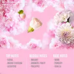 Fragrance Oil softener