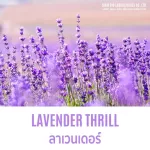 หัวน้ำหอมแท้ 100% FRAGRANCE OIL ความเข้มข้นสูง กลิ่น ลาเวนเดอร์ ขนาด 30 ML , 60 ML , 100 ML