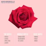 มาใหม่ หอมมากน้ำมันหอมระเหย ขนาด 30 มล สูตรเข้มข้น น้ำหอมเครื่องพ่นไอน้ำ น้ำหอมอโรม่า เตาอโรม่า เทียน กลิ่น Sexy Rose