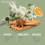 100% authentic perfume Fragrance oil, high concentration