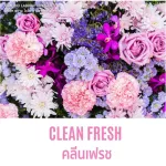 Fragrance Oil softener