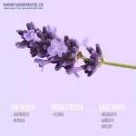 มาใหม่ หอมมาก น้ำมันหอมระเหยสยามอโรม่า ขนาด 30 มล สูตรเข้มข้น  น้ำหอมเครื่องพ่นไอน้ำ น้ำหอมอโรม่า เตาอโรม่า เทียน