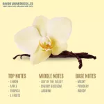 100% authentic perfume Fragrance oil, high concentration, hills, size 30 ml, 60 ml, 100 ml