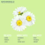 หัวน้ำหอมแท้ 100% FRAGRANCE OIL ความเข้มข้นสูง กลิ่น โอเปร่า ขนาด 30 ML , 60 ML , 100 ML