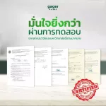 Gager สเปรย์ดับกลิ่นรองเท้า ดับกลิ่นเท้า ระงับกลิ่นรองเท้า Shoe deodorant spray 60ml.