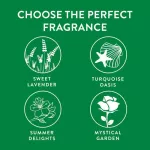 Avre Greffil 250ml. Great value 2Free1 Air Wick Life Scents Freshmaticrefill 2 + 1 [Value Pack]