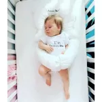 AKARANA BABY Portfolio Port Pillow Set