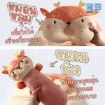 PAPA BABY Pic Nil Bua Set CSNH281-284