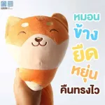 PAPA BABY ชุดที่นอนปิคนิค ผ้าspandex รุ่น CSNH741-745