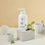 Energize Your Day Spearmint Hair Wash Shampoo Energy Yaisu Day Spear Mint