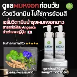 Great value pair 70ml white hair nourishing ginseng serum, x 2 bottles