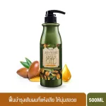 Centio Hair Project, Argan Oil Terrapee, 500ml shampoo