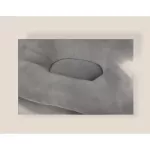 Camera Pillow Pillows