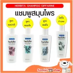 Herbita Giffarine shampoo, hair loss, herbal formula, hair lotion Strong hair, beautiful, beautiful hair, healthy hair