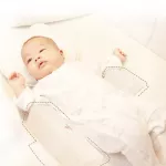 NARACHA, 100% Organic Cotton Cotton Pillow