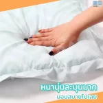 PAPA Picnic mattress set Bab103 baby mattress