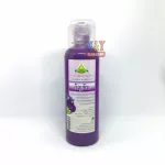 Massage cream mixed with herbs, butterfly pea, full head, Asoke head, size 350 milliliters, nourishing the hair roots to be strong, reduce hair loss, protect against gray hair.