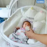 Prince & Princes Baby Crown Nest