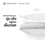 SIAMLATEX KID CUDDLE pillow is made from micro -ball fibers, providing bouncy bouncy, supporting and hugging, supporting and distributing weight very well.