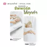 SIAMLATEX KID CUDDLE pillow is made from micro -ball fibers, providing bouncy bouncy, supporting and hugging, supporting and distributing weight very well.