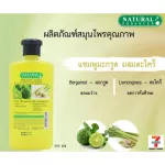 Krua and lemongrass shampoo