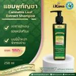 แชมพูกัญชา Cannabis Leaf Extract Shampoo