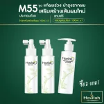 [2 Get 1] Havilla M55 Hair Tonic Rubbed Length 100ml x 2 Free Hair Loss Shampoo 100ml