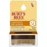 Burts Bees Conditioning Lip Scrub