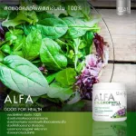 Real Elixir Alfa Chlorophyll 100g. Concentrated chlorophyll