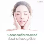 เบต้า ลิสซ่า อาหารเสริม ผิวสวย รอยสิว จากประเทศเยอรมนี SET 1 เดือน/2 กล่อง 60 แคปซูล