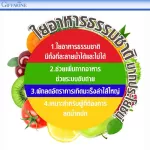 Giffarine Giffarine Fiberine fiber fiber Help the digestive system Helps to lose weight 100 capsules 40510