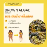 Buy 2 boxes, free Rosetox 6 sachets, JEJUVITA XS TOX Fiber Powder 15000mg Jejuvita Exp30/11/23