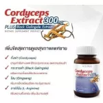 VISTRA Cordyceps Extract 30 Caps วิสทร้า คอร์ดิเซพส์ สารสกัดจากถังเช่า ผสมสารสกัดกระชายดำ 30 แคปซูล