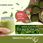 Ray Viear Viear Premium Organic Protein