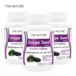 Grape Seed Extract The Nature x 3 ขวด บรรจุ 30 แคปซูล เกรปซีด สารสกัดจากเมล็ดองุ่น เดอะ เนเจอร์
