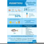 แถมฟรี! Colla g 6 ซอง Ime ตุ้มสุดๆ imeCollagen ไอเม่ คอลลาเจน 6 ซอง 1ซอง100 g