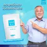 แถมฟรี!! ไอเม่ดาวน์โหลด 1 ซอง Ime Collagen ไอเม่ คอลลาเจนกระดูก บำรุงกระดูกและไขข้อ อาหารเสริมสำหรับผู้สูงอายุ วัยทอง