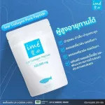 แถมฟรี ime Download 1 ซอง ไอเม่ คอลลาเจน Ime Collagen เพียวเปปไทด์จากปลาญี่ปุ่น