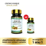 Buy 1 get 1 free Krachai Extract, capsule type, grover food supplement
