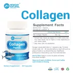 คอลลาเจน เปปไทด์ คอลลาเจนแท้ x 3 ขวด Collagen Peptide นิวเดย์ Newday คอลลาเจนนำเข้าจากประเทศญี่ปุ่น