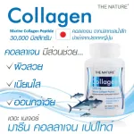 คอลลาเจน คอลลาเจนญี่ปุ่น เดอะเนเจอร์ x 3 ขวด Marine Collagen The Nature จากปลาทะเล บรรจุ 30 เม็ด