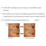 MATELL Collagen Dipeptide 100% คอลลาเจน ไดเปปไทด์ 100g Premium Collagen from Japan ขนาดโมเลกุลเล็กที่สุดในโลก แท้100%