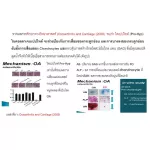 MATELL Collagen Dipeptide 100% คอลลาเจน ไดเปปไทด์ 100g Premium Collagen from Japan ขนาดโมเลกุลเล็กที่สุดในโลก แท้100%