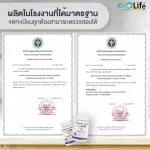 ไลฟ์ ซิงค์ พลัส วิตามินซี ชุด 2 กระปุก