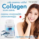 Collagen x 1 bottle of Marine Collagen, Japanese collagen from authentic collagen 1,000 mg. The Nature The Nature, beautiful collagen, collagen