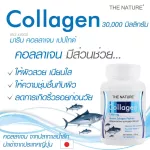 คอลลาเจน x 1 ขวด Marine Collagen คอลลาเจนญี่ปุ่น จากปลาทะเล คอลลาเจนแท้ 1,000 มก. เดอะ เนเจอร์ The Nature คอลลาเจนผิวสวย คอลลาเจนเม็ด
