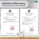 ไลฟ์ คอลลาเจน พลัส วิตามินซี ชุด 1 กระปุก