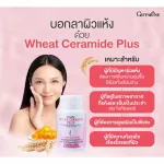 กิฟฟารีน วีท เซราไมด์ พลัส Giffarine Wheat Ceramide Plus เซราไมด์จากข้าวสาลี 30 แคปซูล